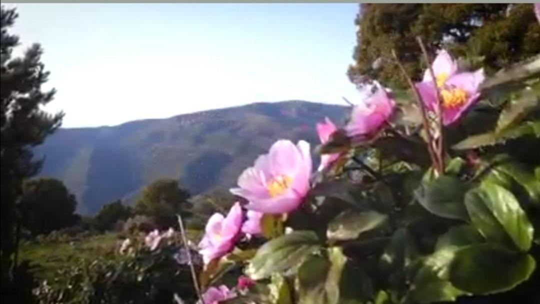 Stellaria Casa Vacanze In Montagna Panorama Stupendo Sardegna Seùlo Exterior foto