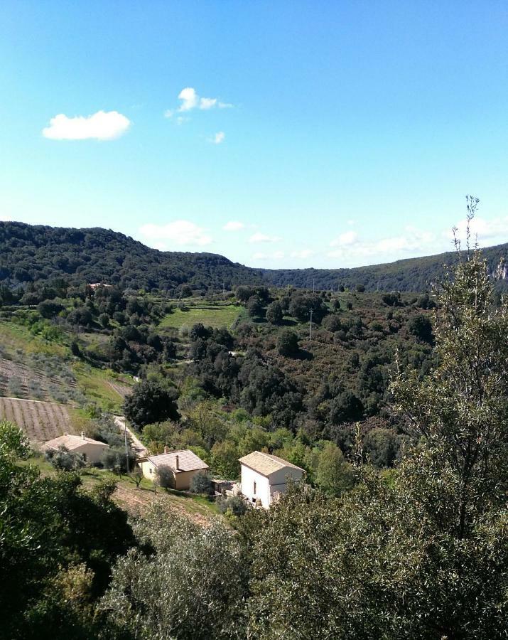 Stellaria Casa Vacanze In Montagna Panorama Stupendo Sardegna Seùlo Exterior foto