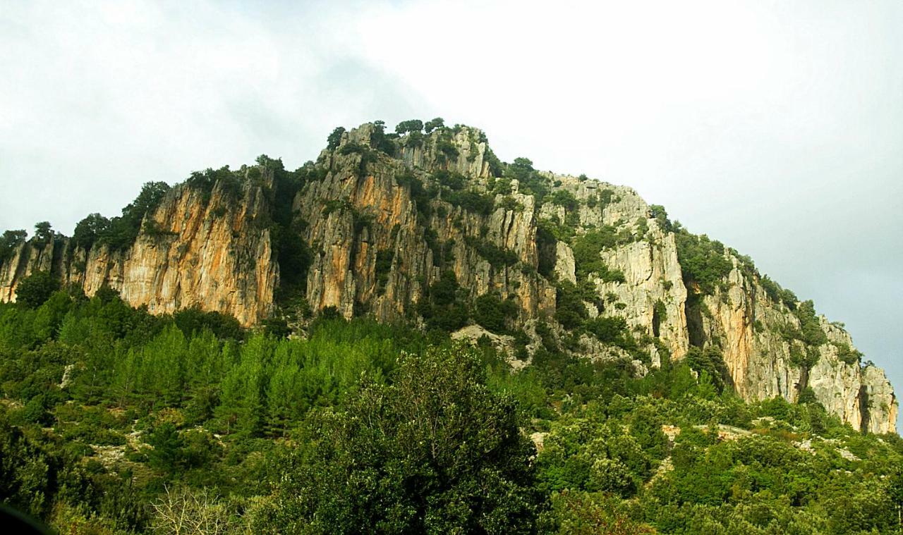 Stellaria Casa Vacanze In Montagna Panorama Stupendo Sardegna Seùlo Exterior foto